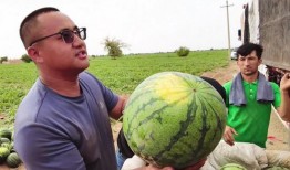 今日吃瓜每日大赛 吃瓜爆料短剧吃瓜爆料大赛每日聚集地,揭秘“今日吃瓜每日大赛”的吃瓜爆料短剧盛宴